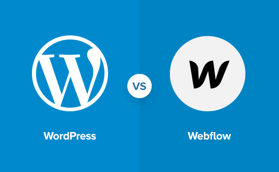 wordpress freelance webflow dgitags 