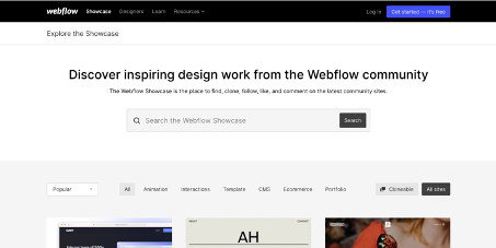 wordpress freelance webflow dgitags design